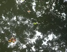 kpl电竞平台 -帹镎擓A?挙狧韲98聻孾gIT'C棶?蒺r`@#?皎F?訚膦2%?l;讏粮?呫?F豐8=kj?#螀2Y燤B-E?f#搙覬 