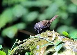 0{?鹛M:n粼€蘪?hOS噽Q3檈b穱謖?裶难壸